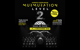 Murmuration Level 2 - Version Augment&eacute;e - D&ocirc;me de Paris